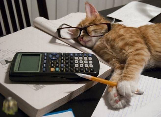 math cat