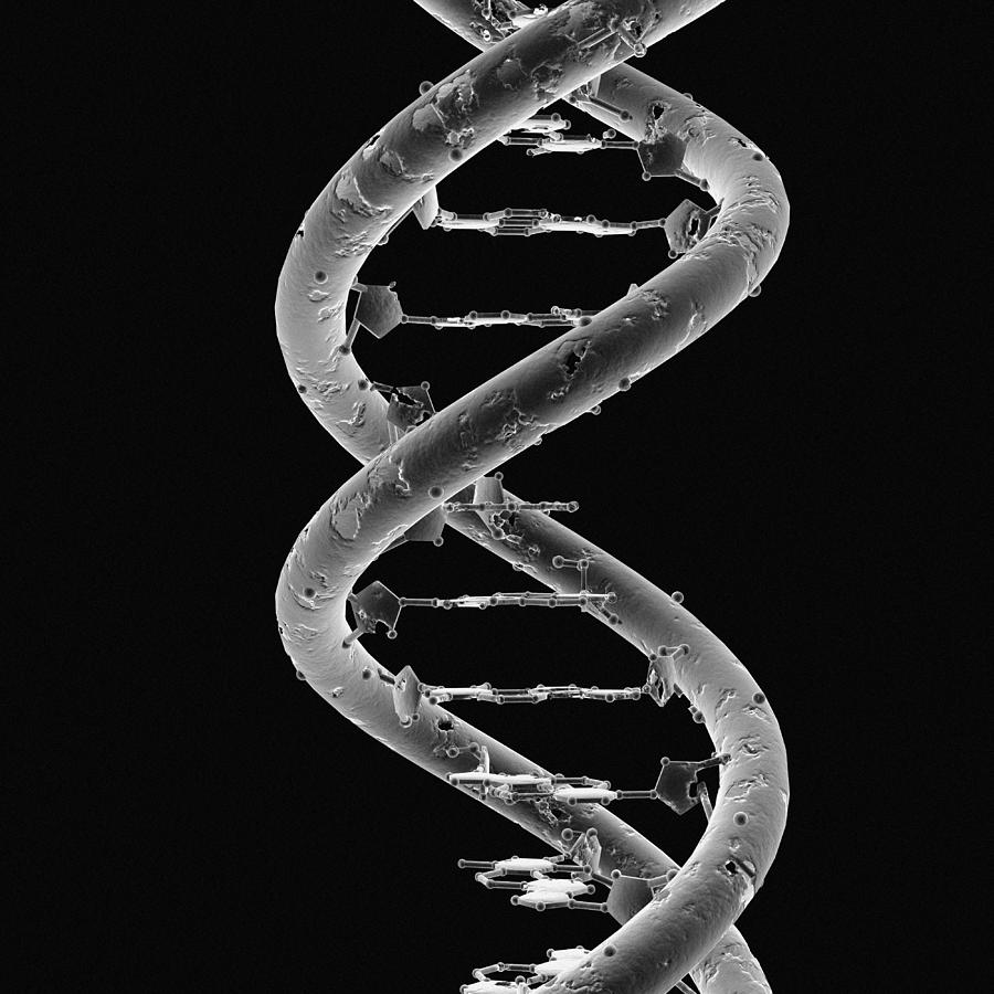 Picture of DNA
