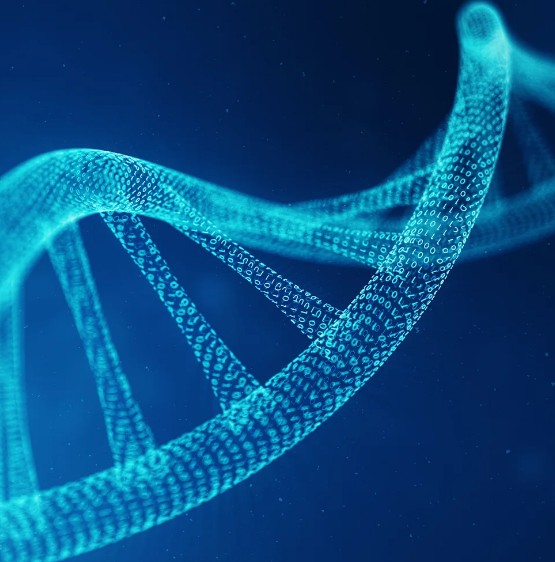 Another picture of DNA